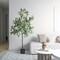 Eucalyptus Tree - Artificial Trees for Home Decor Indoor, Floor Plants for Living Room Decor, Faux Plants Indoor Tall, Faux Eucalyptus Tree, Artificial Plants for Home Decor Indoor - 6 Feet